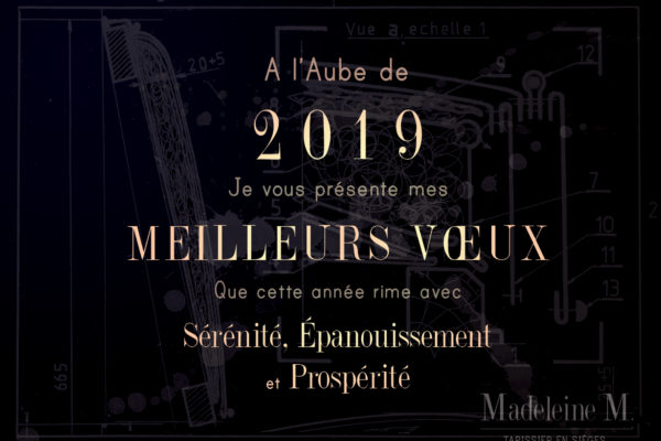 voeux 2019