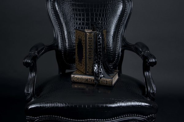 fauteuil napoléon III
Croco Noir